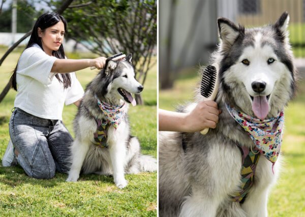 Cepillos para Mascotas Laika - Imagen 7
