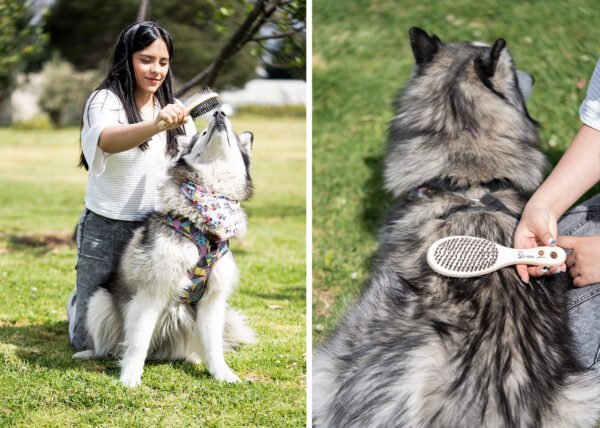 Cepillos para Mascotas Laika - Imagen 9