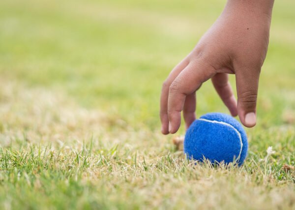 Pelota para mascotas Marley - Imagen 7