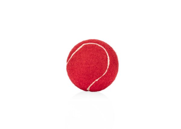 Pelota para mascotas Marley - Imagen 8
