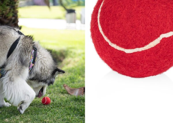 Pelota para mascotas Marley - Imagen 9