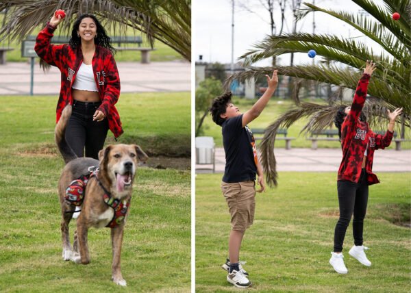 Pelota para mascotas Marley - Imagen 10