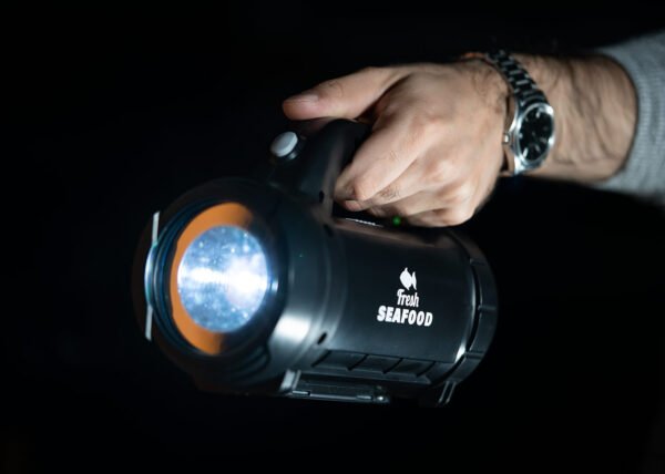 Set Linterna Car - Imagen 2